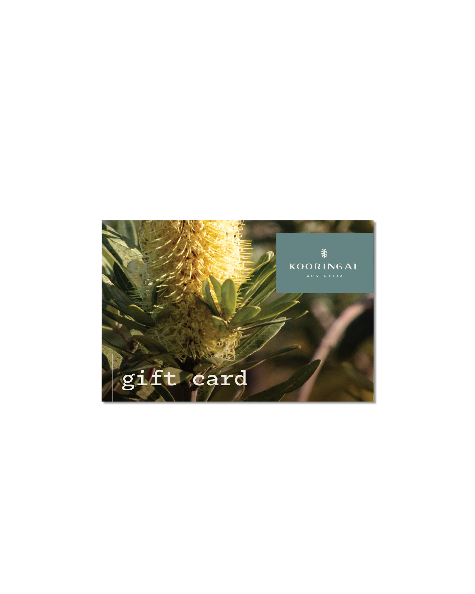 Kooringal Gift Card