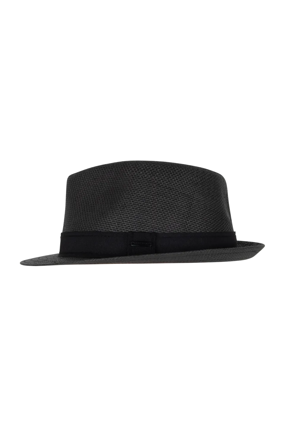 Arlo Fedora