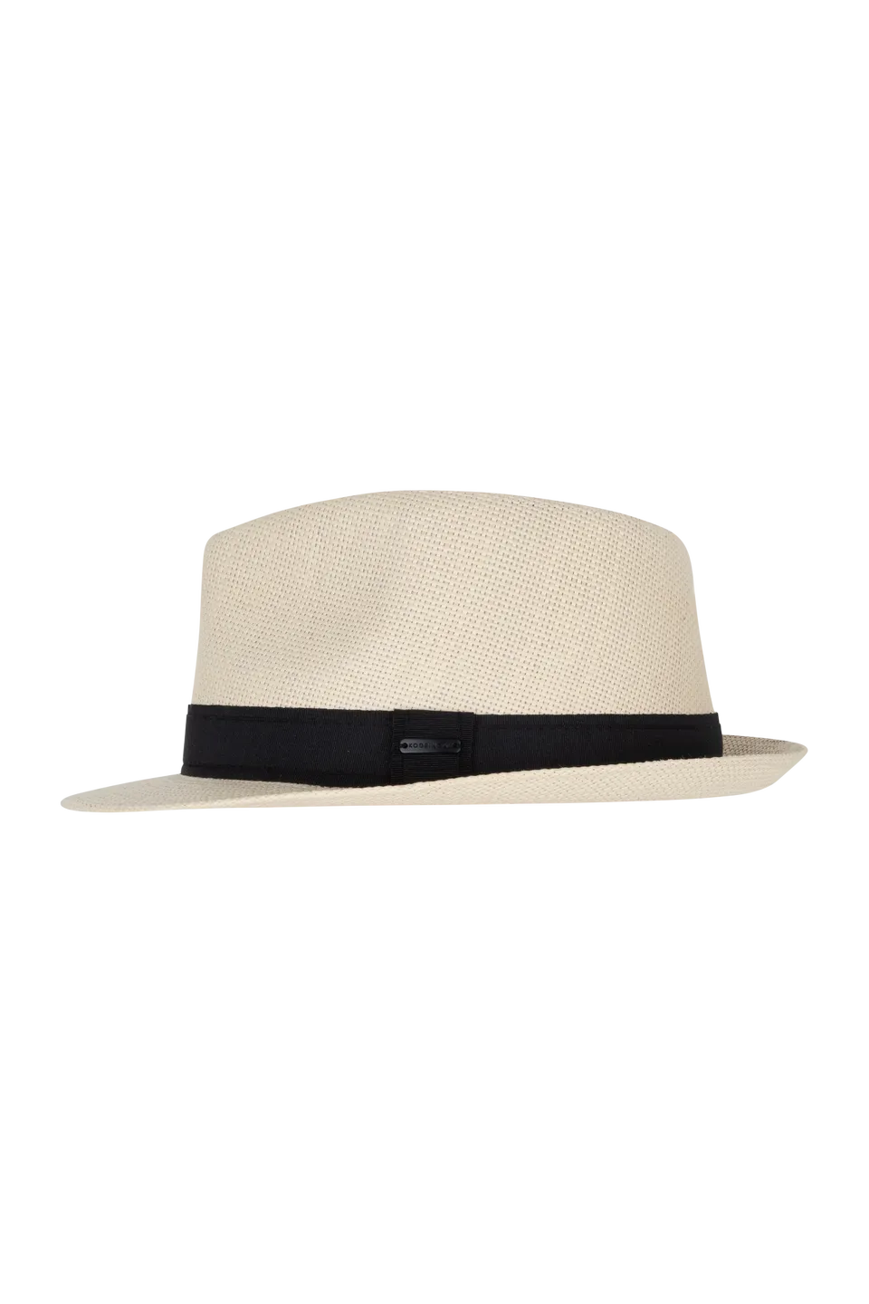 Arlo Fedora